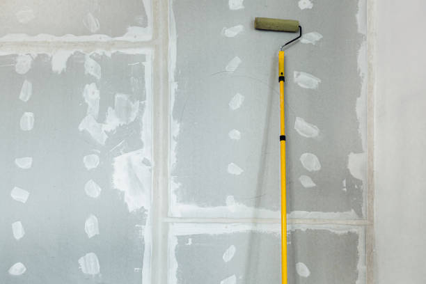Reliable Meadowlakes, TX Mold Removal Solutions